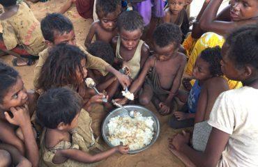 sul-de-madagascar-capa