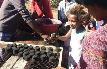 Biocarvão Madagascar 6