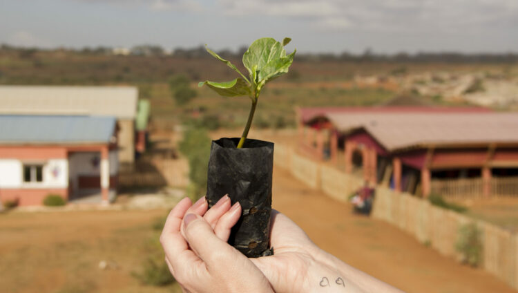 07082022_Baobá_Caravana_Madagascar (3)